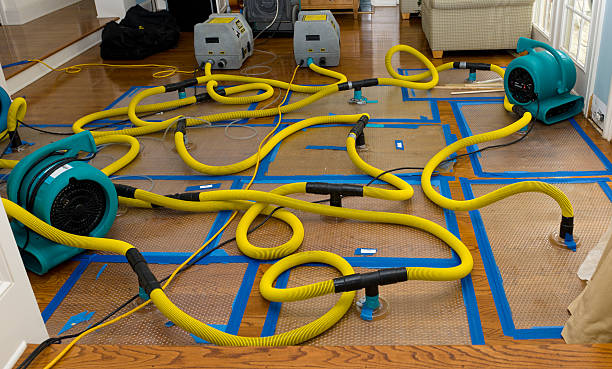 Professional Structural Drying And Dehumidification technician working in Hamilton, OH